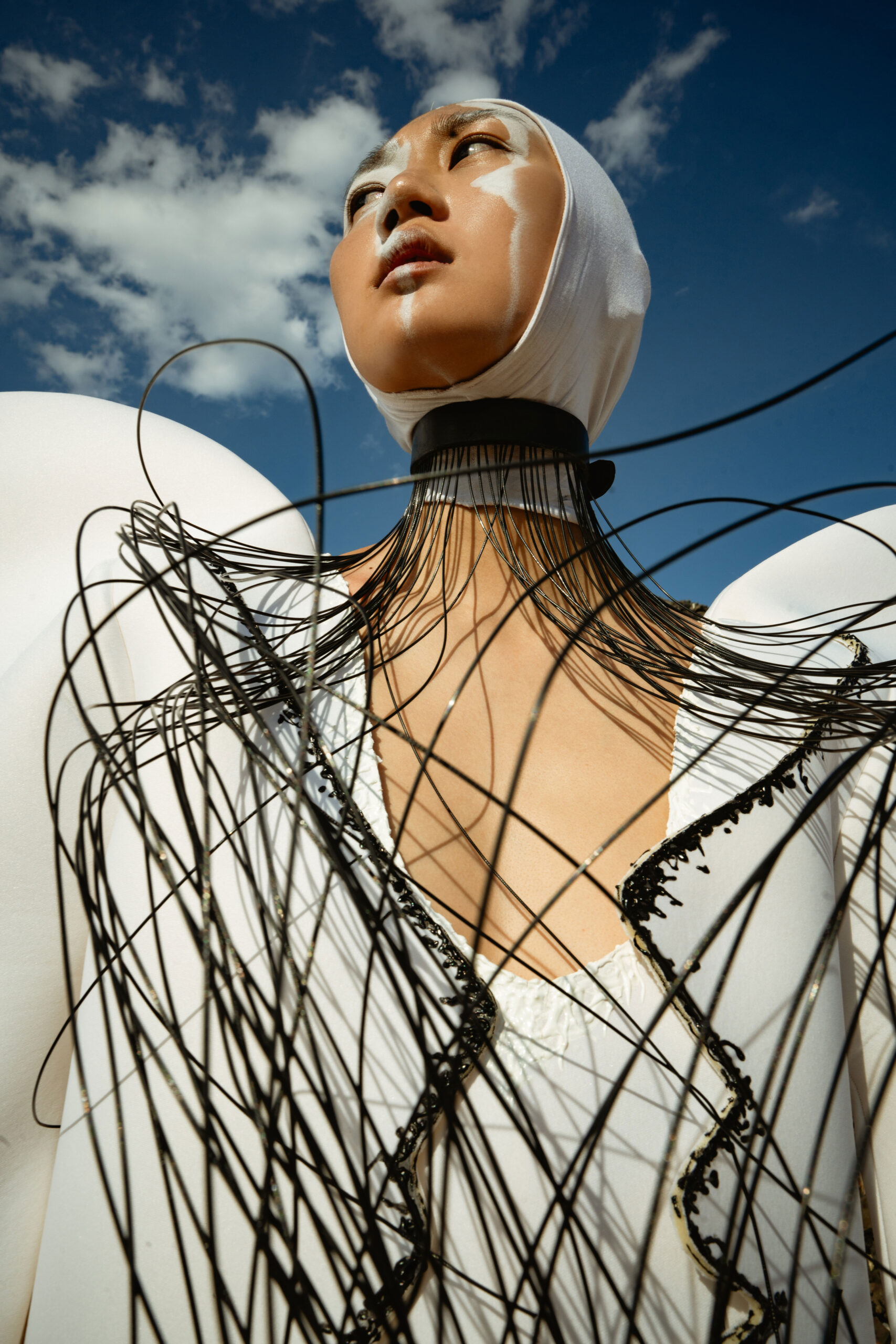 web-1